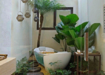 Как выбрать цветы для ванной комнаты