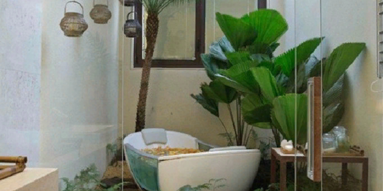 Как выбрать цветы для ванной комнаты
