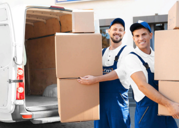 Условия перевозок на грузовом такси и достоинства