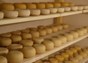 Польза и преимущества фермерского производства