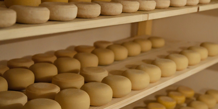 Польза и преимущества фермерского производства