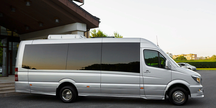 Как правильно организовать выезд на отдых для большой компании