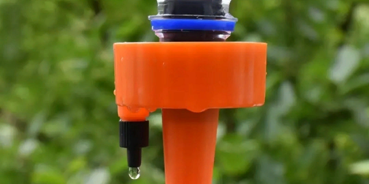 Крапельний полив: переваги та встановка