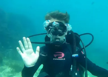 Какие услуги можно получить в дайвинг клубе Матерые Бобры, в Балаклаве