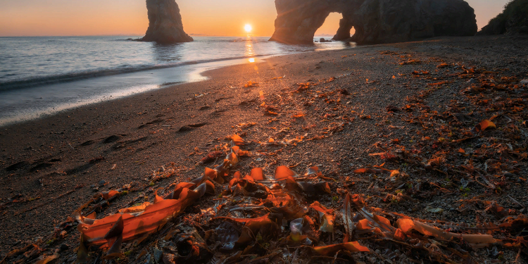 Тур на Сахалине: достоинства, интересные места и советы