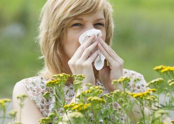 Аллергия: симптомы, как проявляется и методы лечения