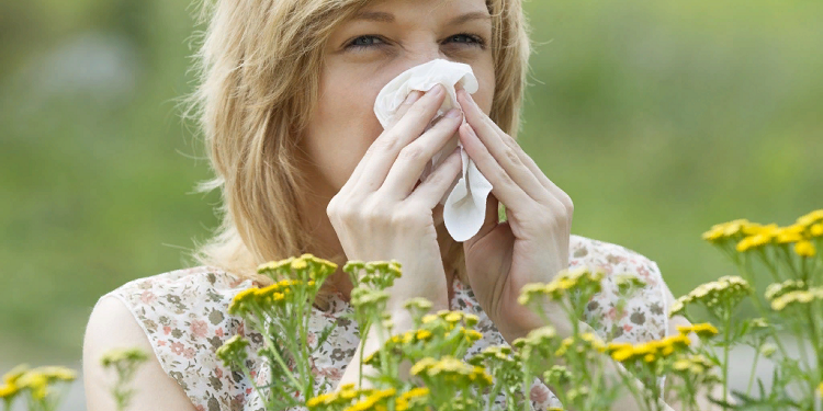 Аллергия: симптомы, как проявляется и методы лечения