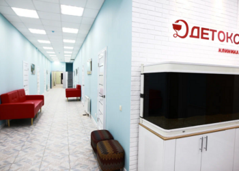 Клиника PROFI-DETOX и ее основные услуги для клиентов