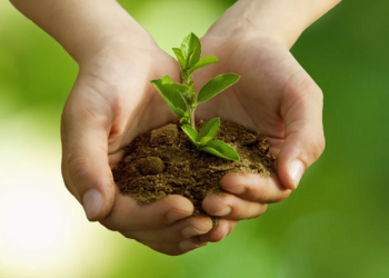 Про открытие и работу российского экологического общества