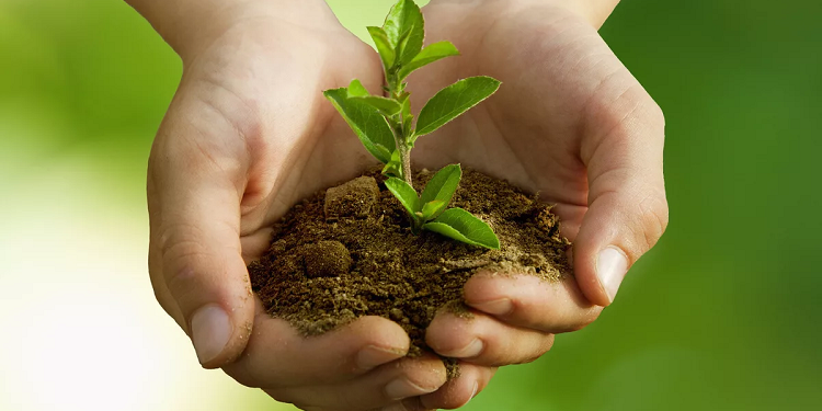 Про открытие и работу российского экологического общества