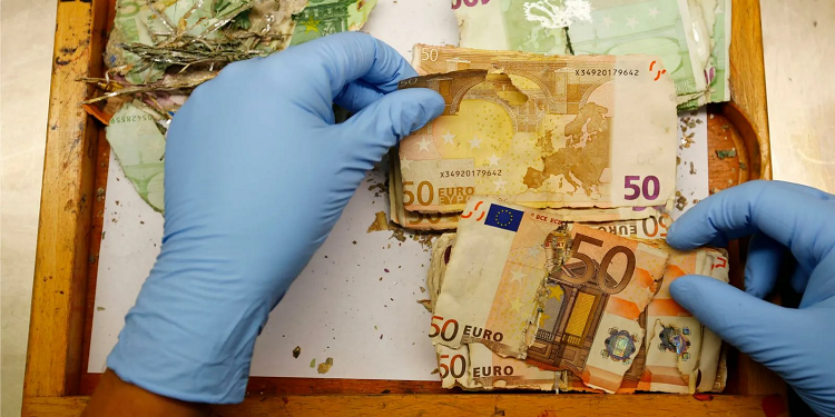 Почему стоит обменять ветхие евро в специализированной компании