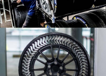 Начало пути мирового лидера шинного рынка Michelin