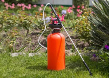 Що таке гербіциди, навіщо призначені, як це працює