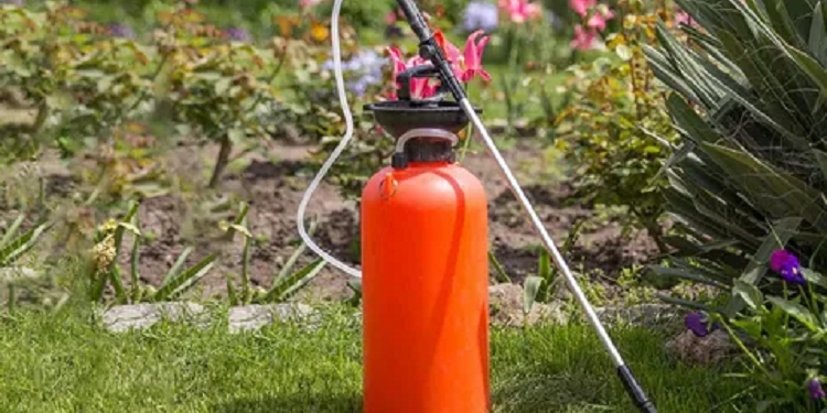 Що таке гербіциди, навіщо призначені, як це працює