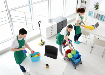 Поиск клининговой компании: что нужно знать и правила