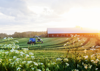 Продажа фермерского хозяйства: что нужно знать и советы