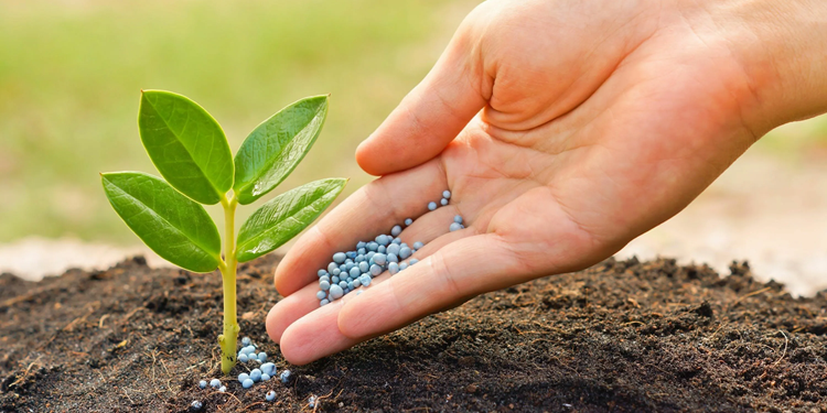 Чому варто обирати мікродобрива Ниватон та основні переваги