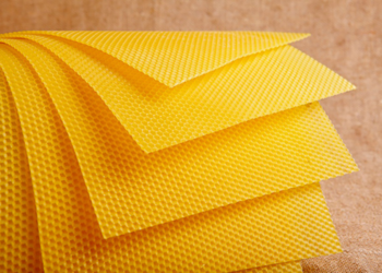 Вощина и ее ключевые особенности, функции