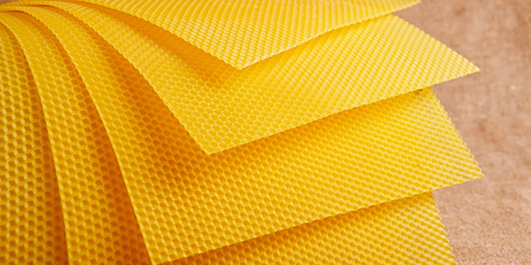 Вощина и ее ключевые особенности, функции