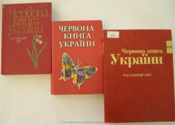Кваліфіковане видання книг в Україні