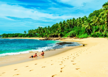 Отдых на Шри-Ланке: особенности, лучшие места и достопримечательности