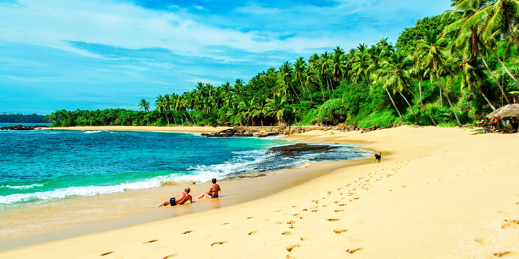 Отдых на Шри-Ланке: особенности, лучшие места и достопримечательности