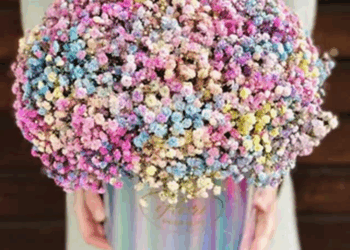 Вишукані квіткові композиції в режимі онлайн