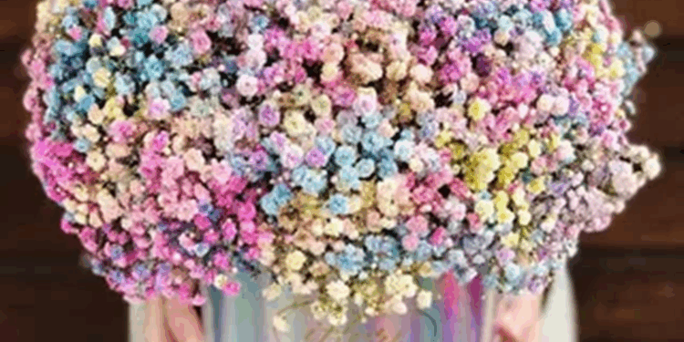 Вишукані квіткові композиції в режимі онлайн