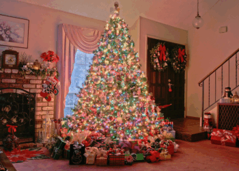 Новогодняя елка: требования к ней, идеи оформления и советы