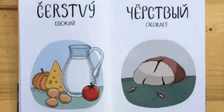 Подробности про изучение чешского языка и варианты