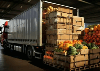 Доставка температурных грузов: правила и советы