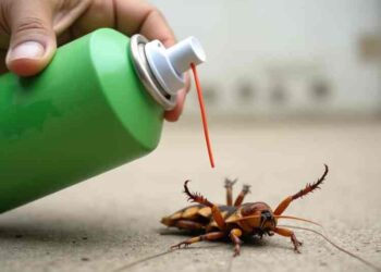 Ранние закупки: почему заказывать средства от клещей оптом зимой — выгодно