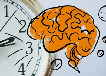 Как повысить продуктивность мозга через сон, питание, тренировки и режим