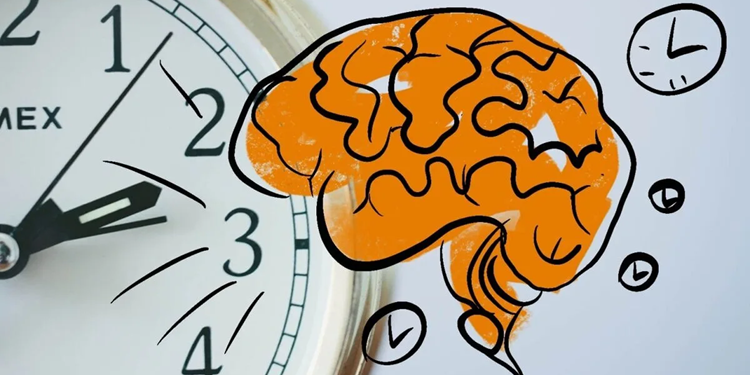 Как повысить продуктивность мозга через сон, питание, тренировки и режим