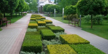 Озеленение парковых зон: идеи посадок, уход за деревьями, газонами и цветниками