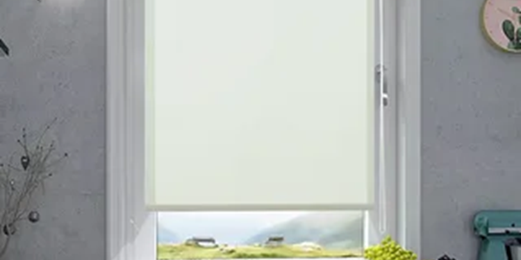 Рулонные шторы в современном интерьере: виды конструкций и советы по выбору