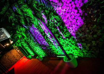 Площадки для вечеринок: возможности и решения от Fresh Vision Show