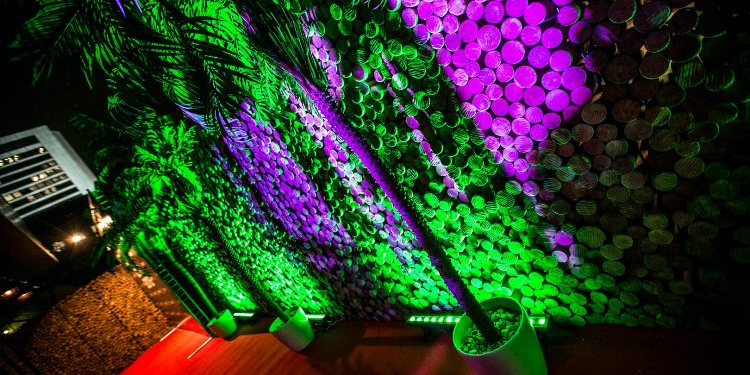 Площадки для вечеринок: возможности и решения от Fresh Vision Show