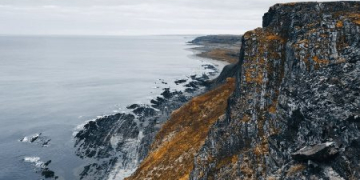 Дикая природа и впечатления: что привлекает туристов и к чему готовиться