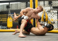 Правила MMA и польза тренировок для здоровья силы и дисциплины