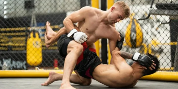 Правила MMA и польза тренировок для здоровья силы и дисциплины